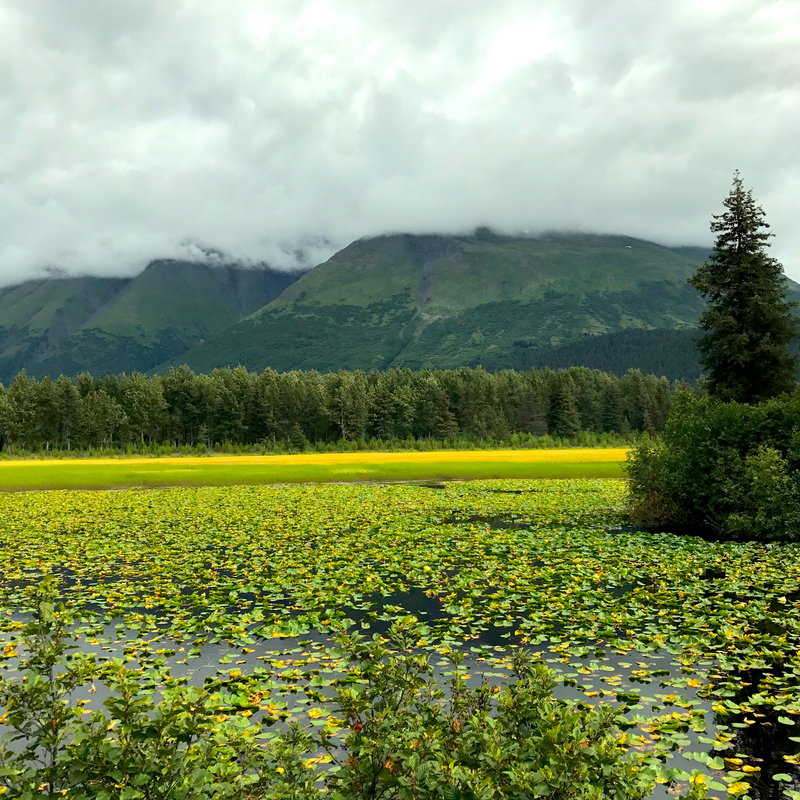 Illustration for article titled Alaska's Seward Highway Is The Most Beautiful Road In America